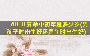 🐕 算命中初年是多少岁(男孩子时出生好还是午时出生好)